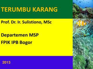 terumbu karang
