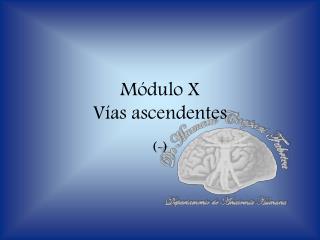 Módulo X Vías ascendentes