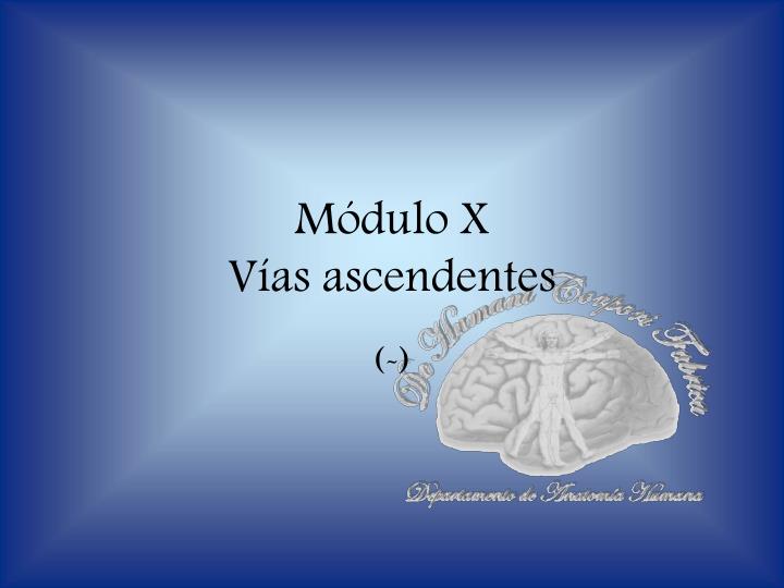 m dulo x v as ascendentes