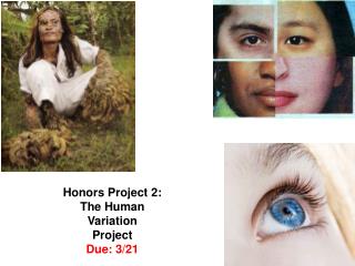 Honors Project 2: The Human Variation Project Due: 3/21
