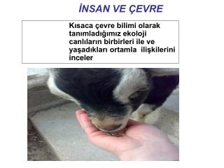 nsan ve evre