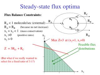 Steady-state flux optima