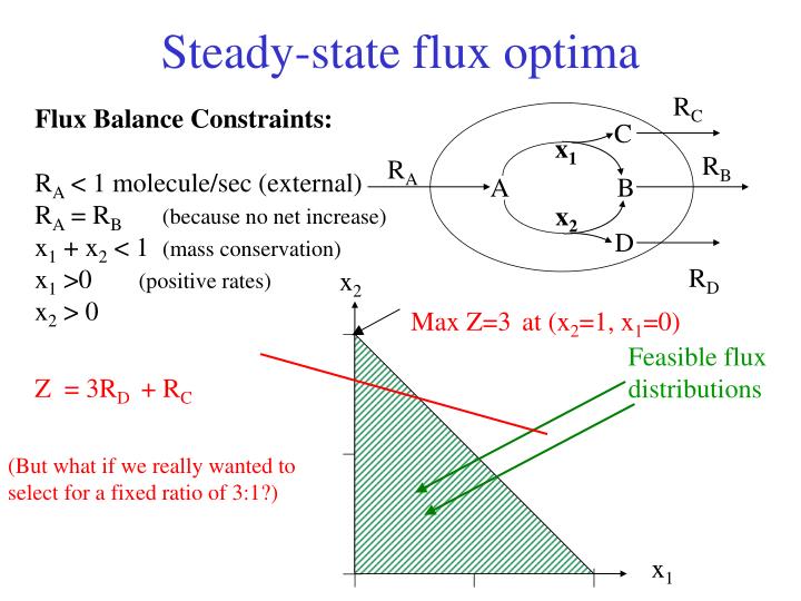 steady state flux optima