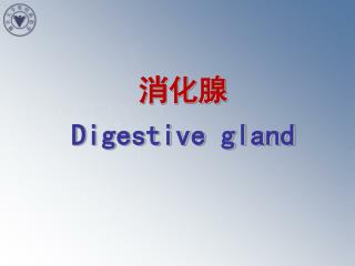 ??? Digestive gland