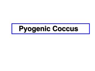 Pyogenic Coccus