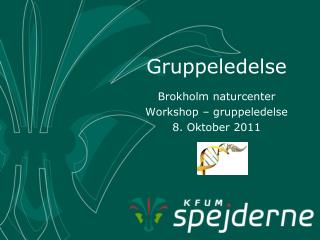 gruppeledelse