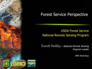 Forest Service Perspective