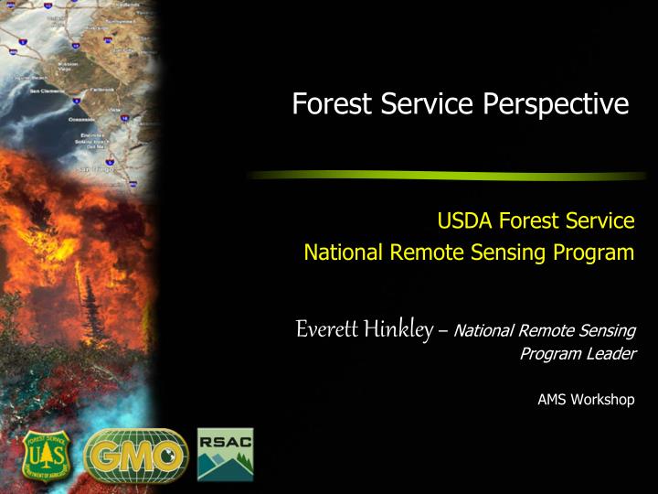 forest service perspective