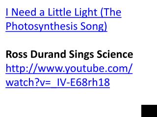I Need a Little Light (The Photosynthesis Song) Ross Durand Sings Science
