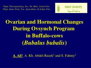 Ovarian and Hormonal Changes During Ovsynch Program in Buffalo-cows ( Bubalus bubalis )