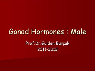Gonad Hormones : Male
