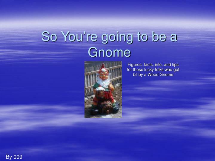 so you re going to be a gnome