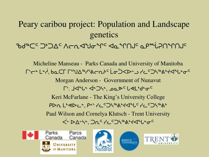 peary caribou project population and landscape genetics