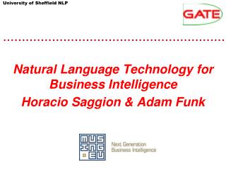 Natural Language Technology for Business Intelligence Horacio Saggion &amp; Adam Funk
