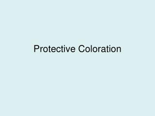 Protective Coloration