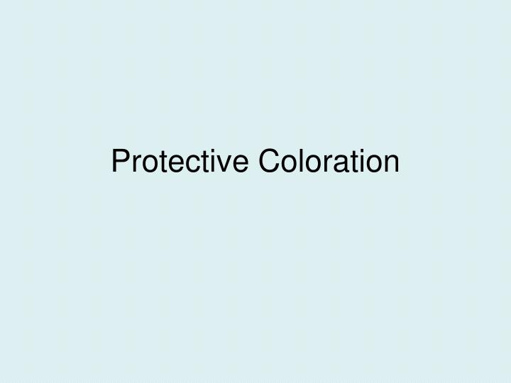 protective coloration
