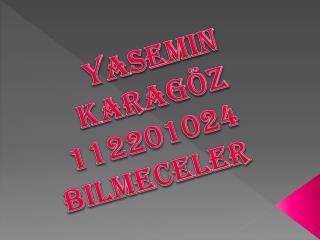 yasemin karag z 112201024 bilmeceler
