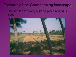 Features of the Goan farming landscape -1