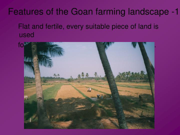 features of the goan farming landscape 1