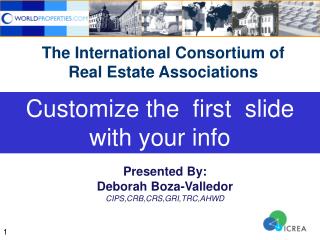 The International Consortium of Real Estate Associations