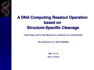 A DNA Computing Readout Operation based on Structure-Specific Cleavage