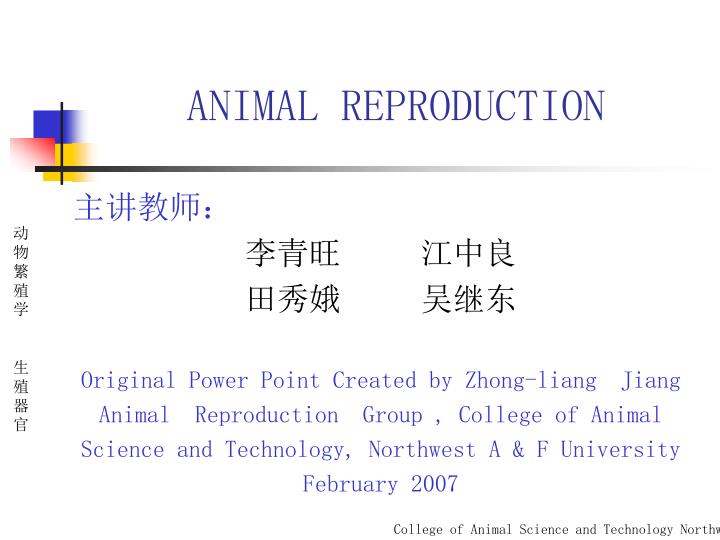 animal reproduction