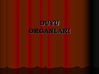 duyu organlari
