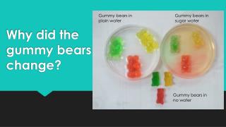 Why did the gummy bears change?