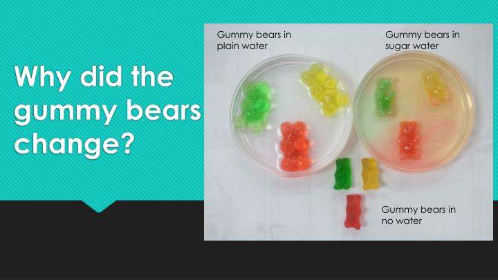 why did the gummy bears change