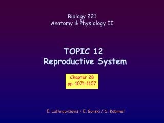 TOPIC 12 Reproductive System