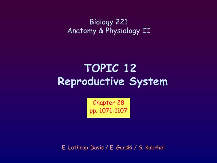 topic 12 reproductive system