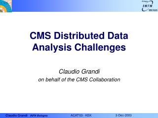 CMS Distributed Data Analysis Challenges