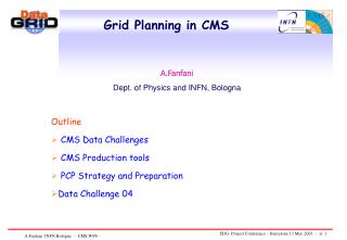 Grid Planning in CMS