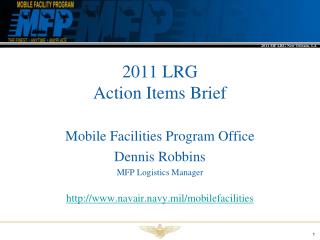 2011 LRG Action Items Brief