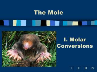the mole