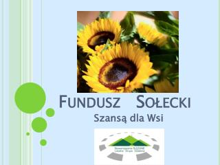 fundusz so ecki