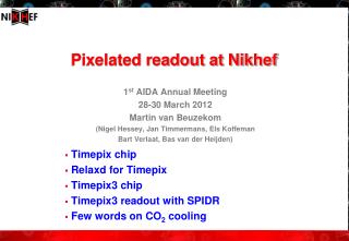 Pixelated readout at Nikhef