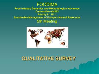 FOODIMA Food Industry Dynamics and Methodological Advances Contract No 044283 Priority 8.1 B1.1