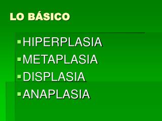 lo b sico