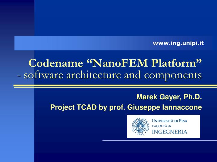 codename nanofem platform software architecture and components