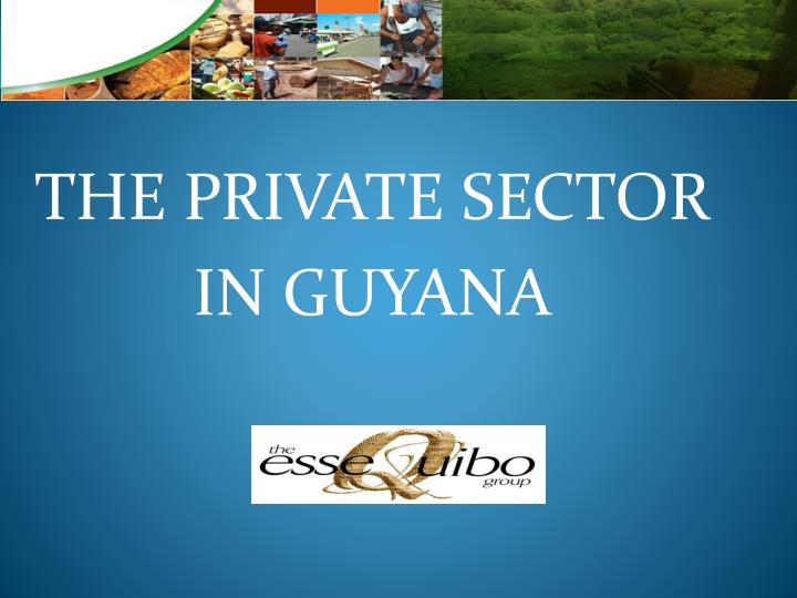the private sector in guyana