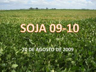 soja 09 10