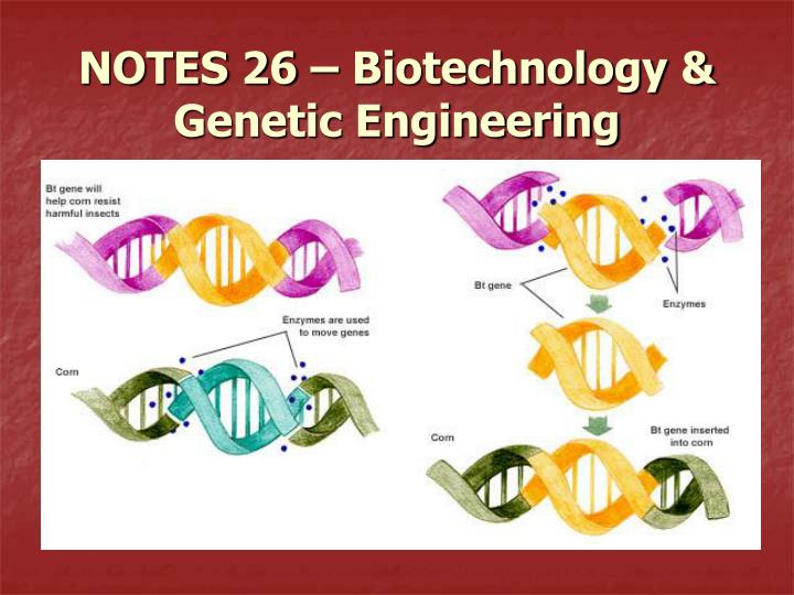 notes 26 biotechnology genetic engineering