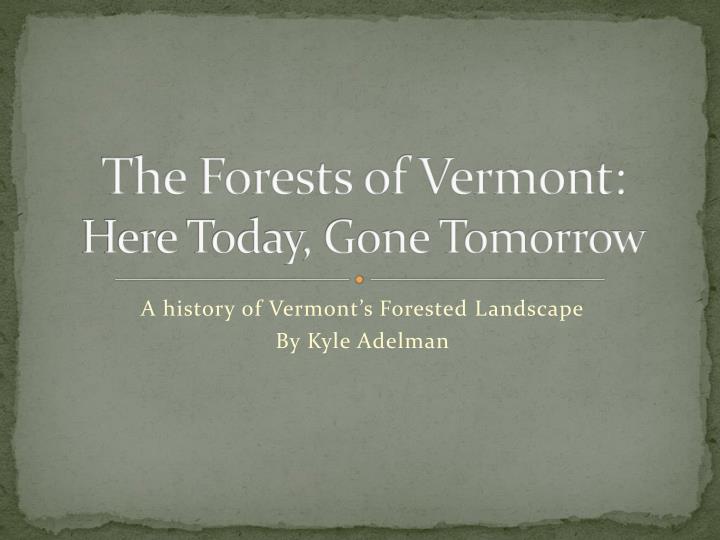 the forests of vermont here today gone tomorrow