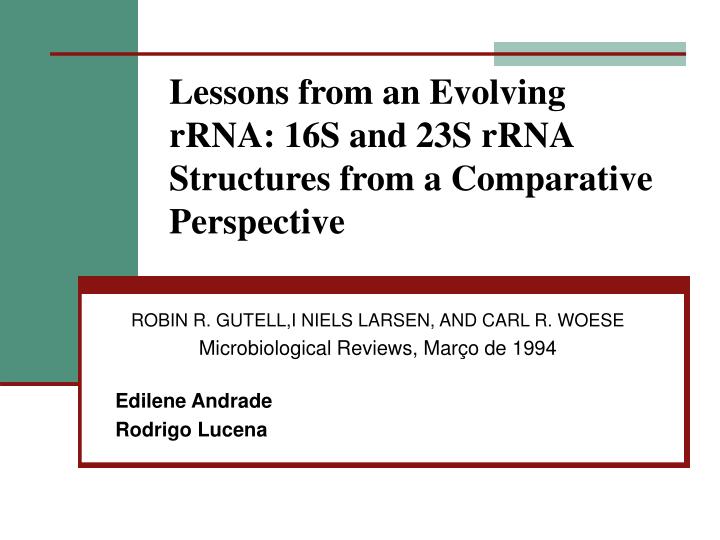 lessons from an evolving rrna 16s and 23s rrna structures from a comparative perspective