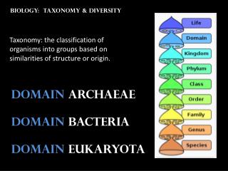 Biology: taxonomy &amp; diversity