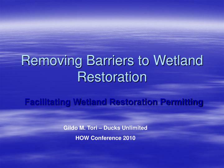 removing barriers to wetland restoration