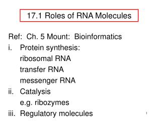 17 . 1 Roles of RNA Molecules