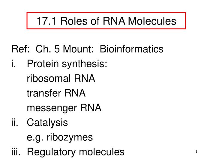 17 1 roles of rna molecules