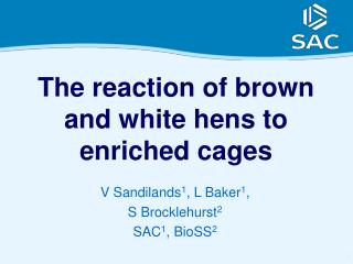 The reaction of brown and white hens to enriched cages